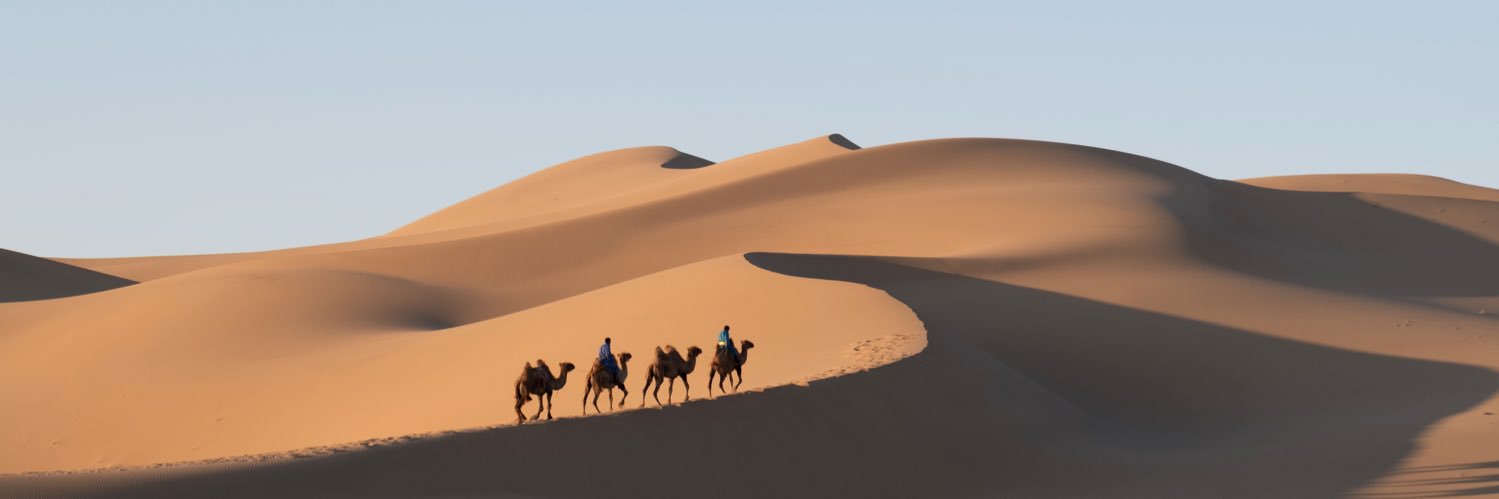 TALAL_AHMDI's profile banner image