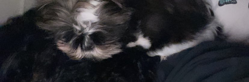 𝖒𝖔𝖗𝖆𝖓𝖌𝖚𝖊𝖙𝖊 banner