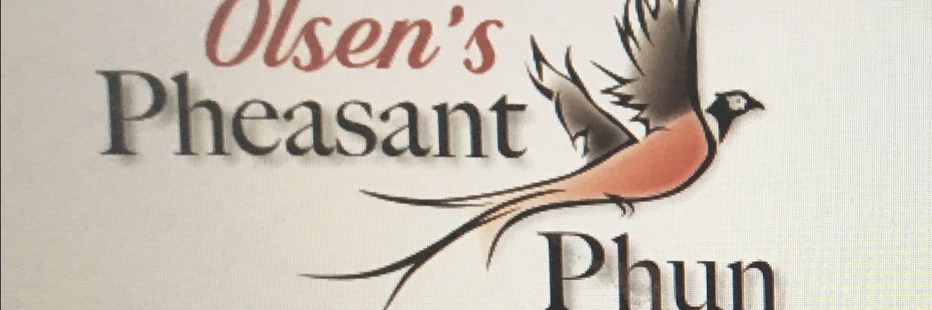PheasantPhun's profile banner image
