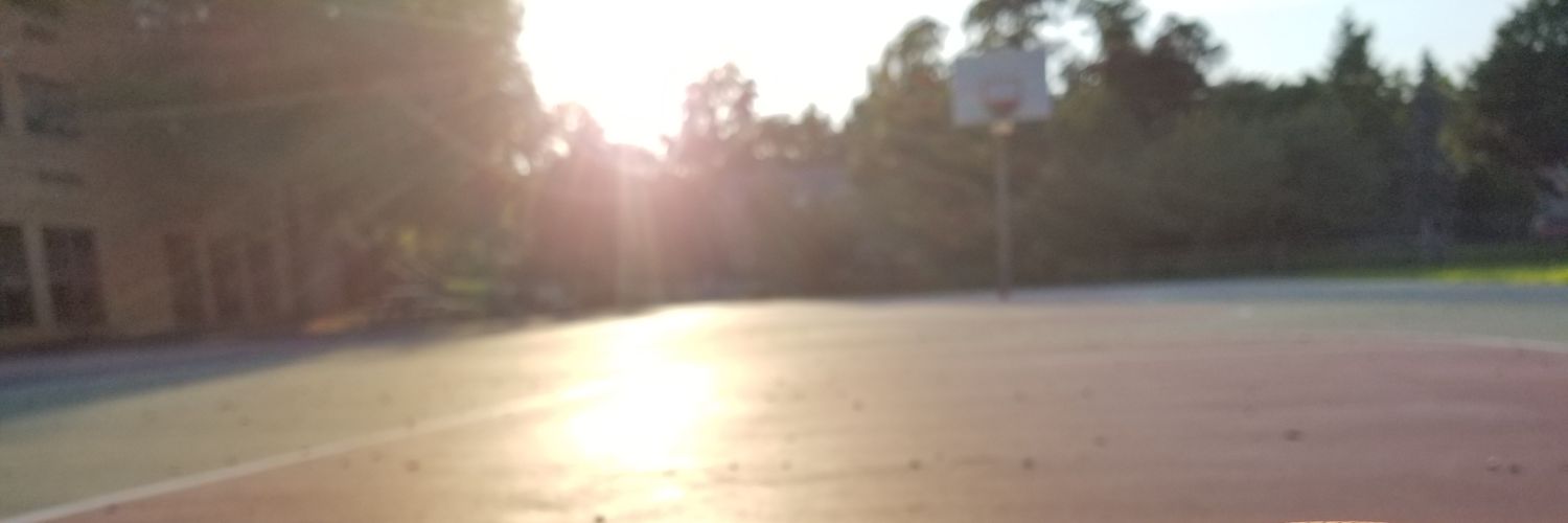 BogPapa_'s profile banner image