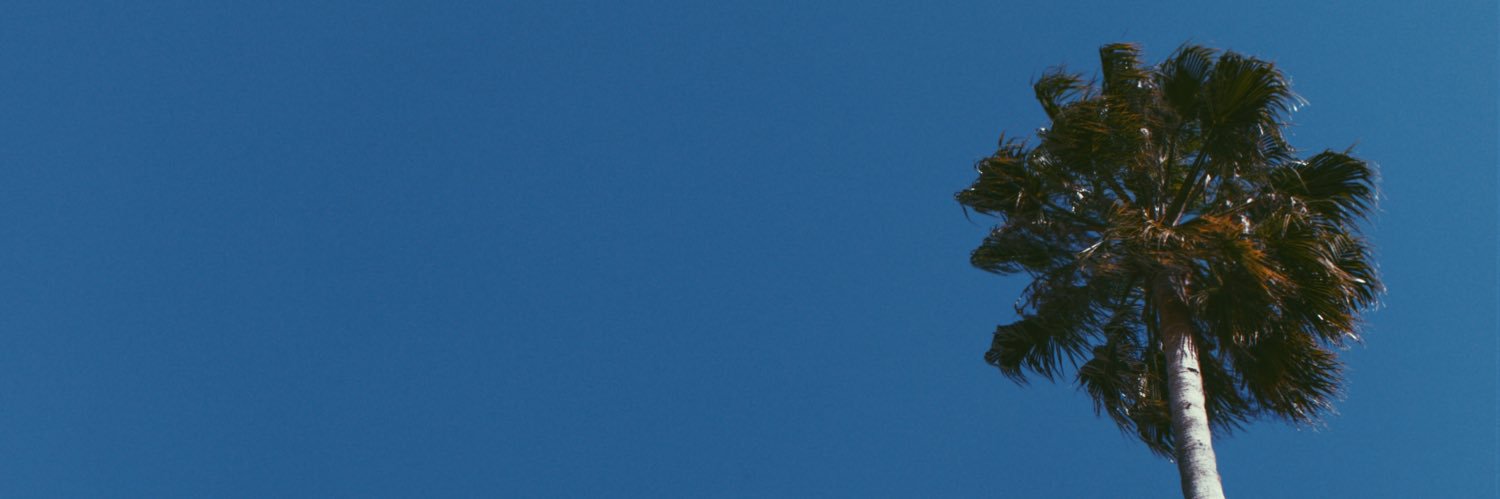 debeta99's profile banner image