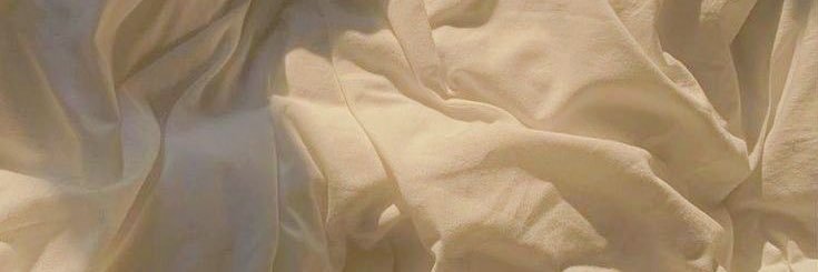 thebunnyaria's profile banner image