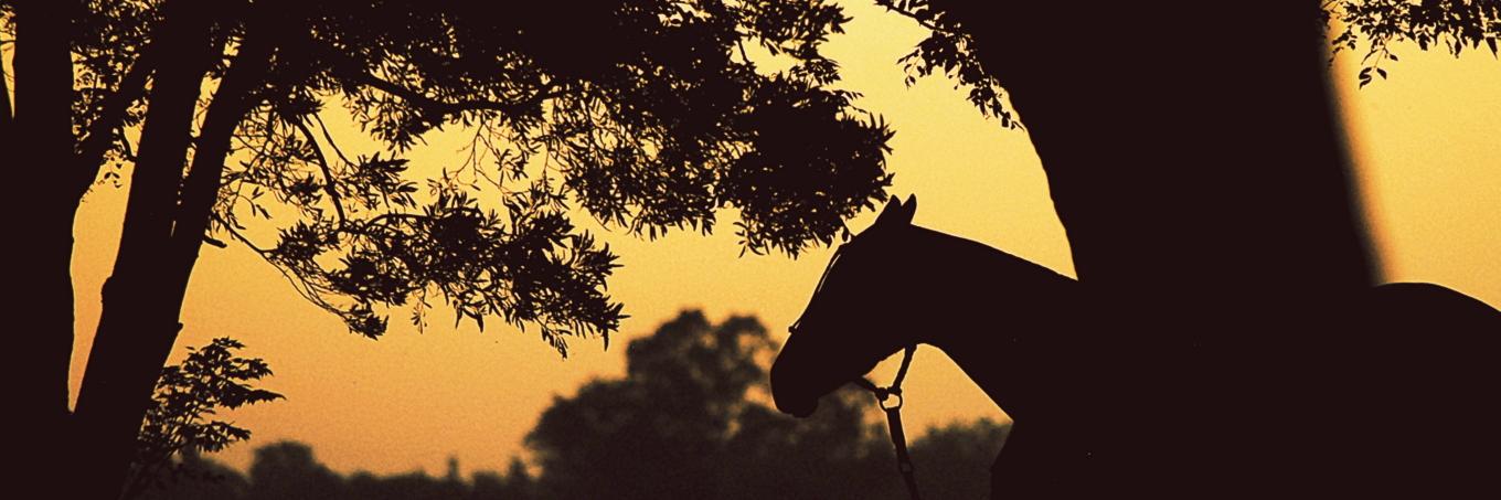 mmmbianchi's profile banner image