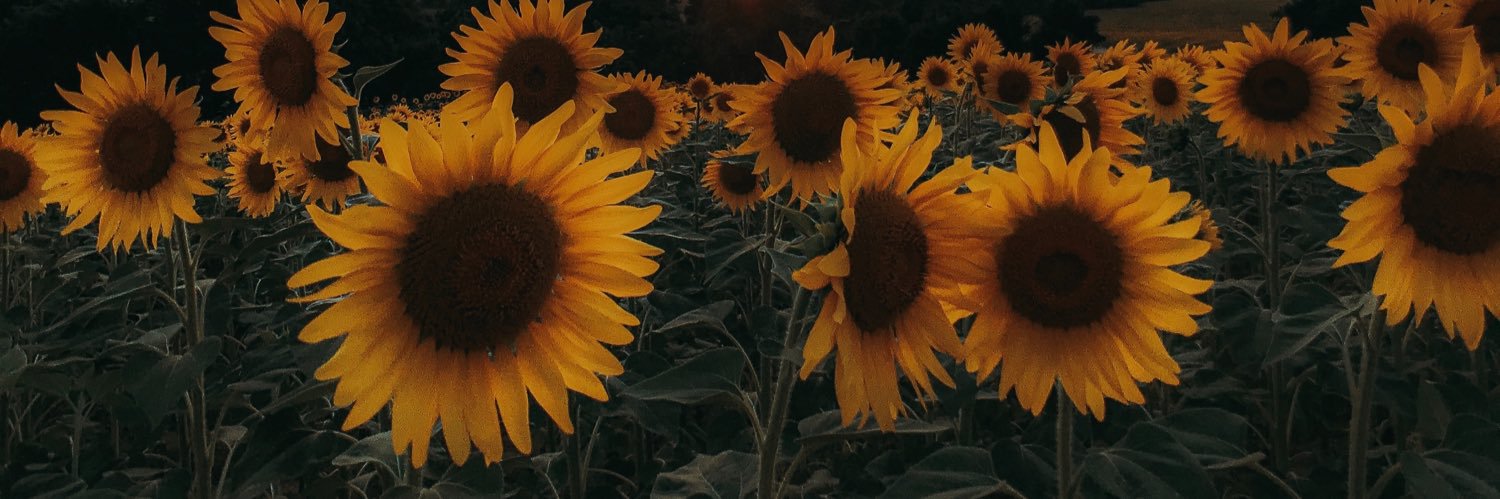 Bimon98's profile banner image