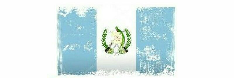 civicagt's profile banner image