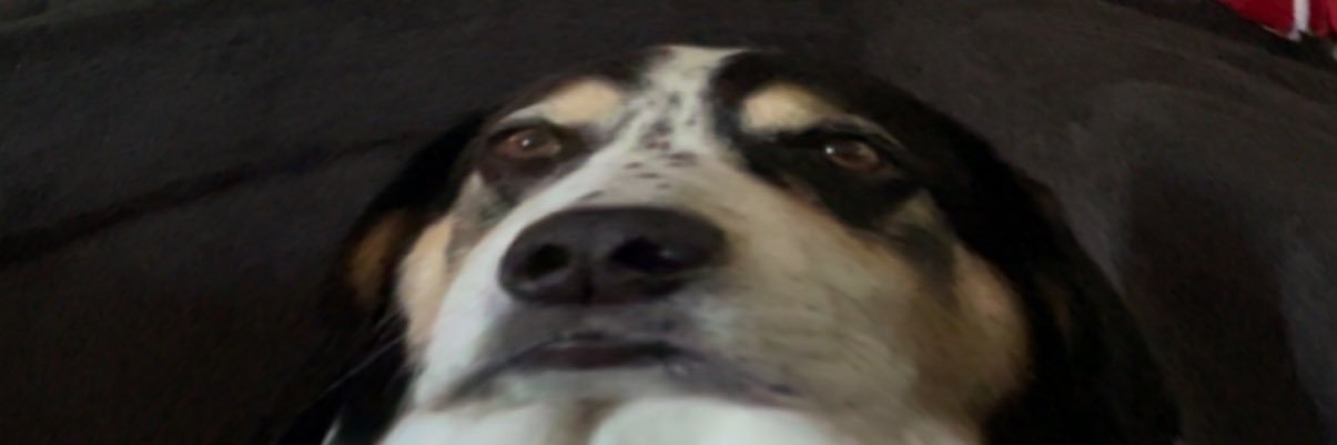 colin__harrison's profile banner image