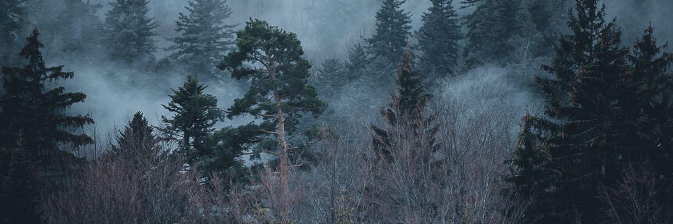 Colin_Rogina's profile banner image