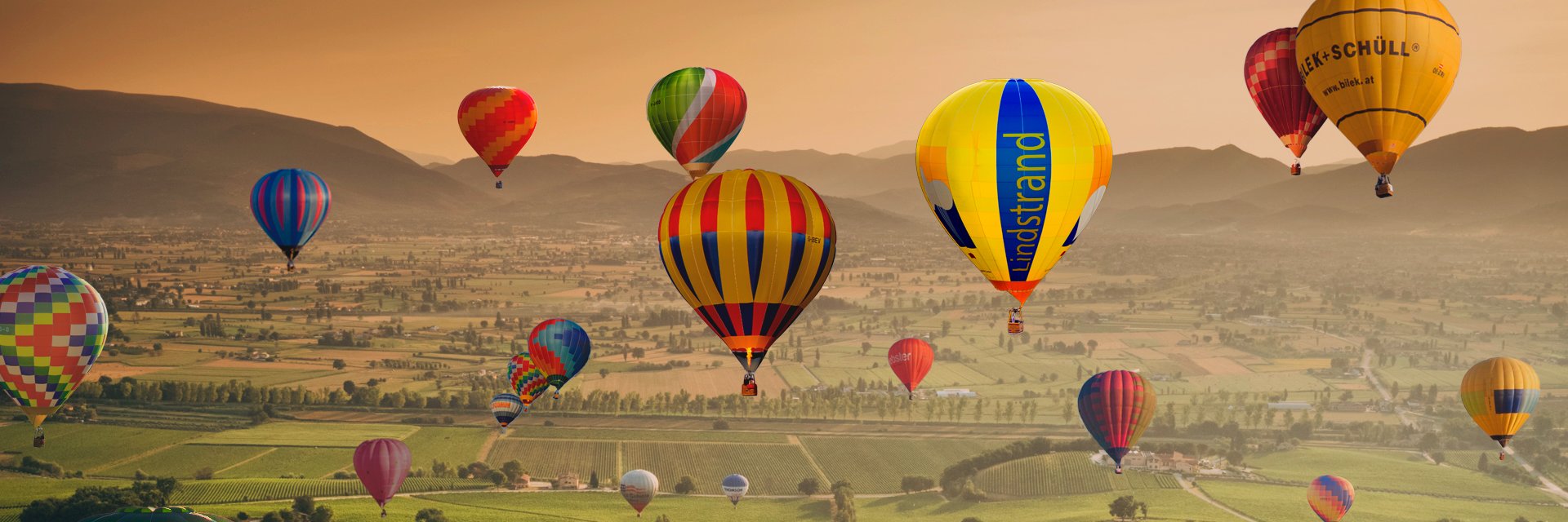 Davide Ceriani banner