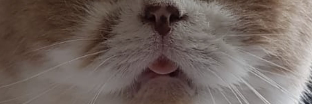 bennedois's profile banner image