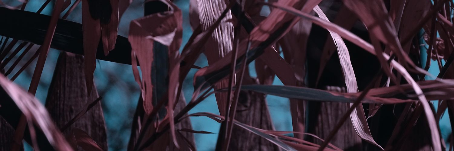 milesrixon's profile banner image