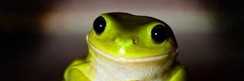 MercePaLer's profile banner image