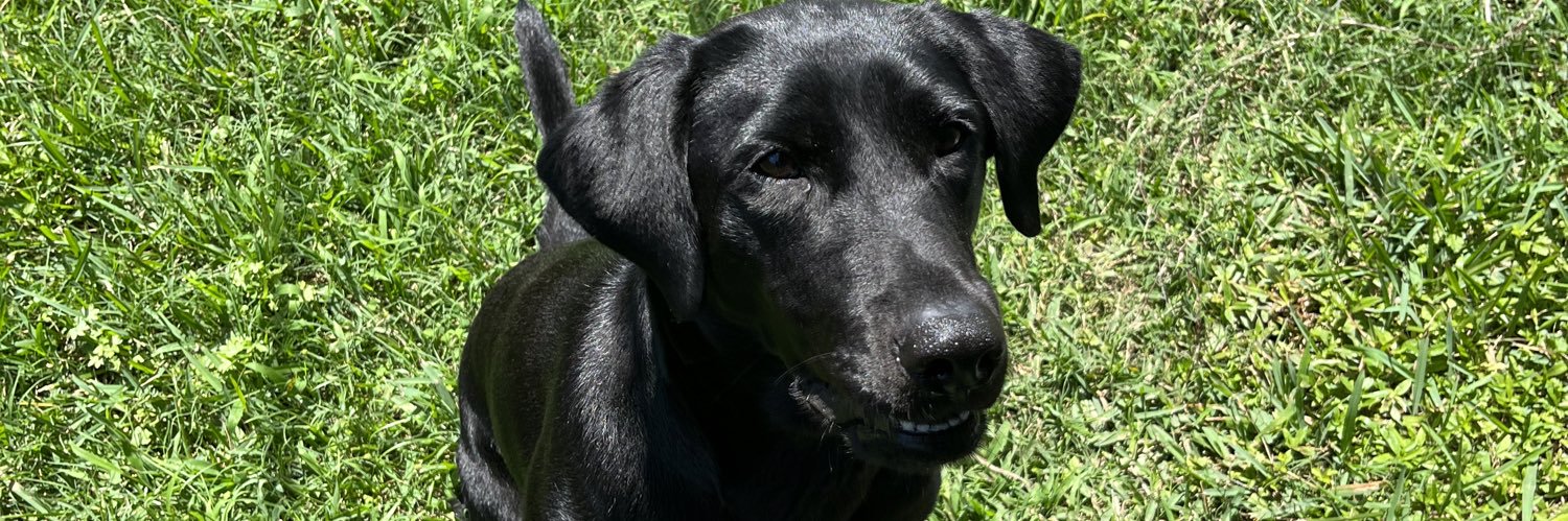 hallie_terrell3's profile banner image