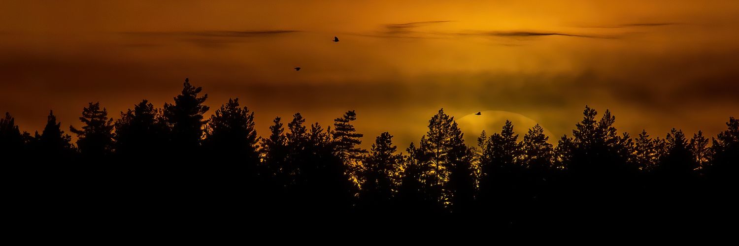 LarsTechnica 🇧🇻🇺🇦 banner