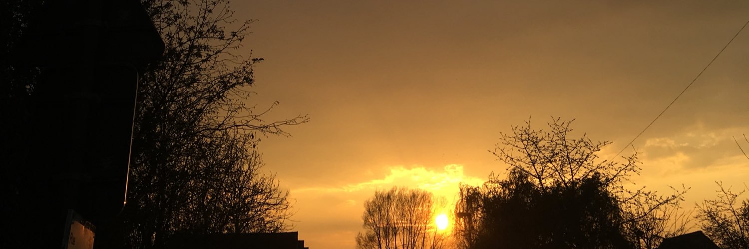 lysonvan's profile banner image