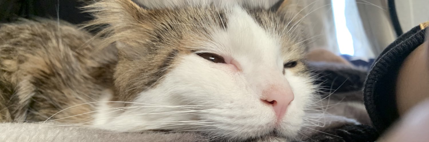 masaomlS2's profile banner image