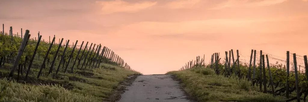 PlanBeyond's profile banner image