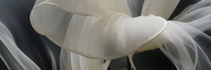 Nancy_Thomps0n's profile banner image