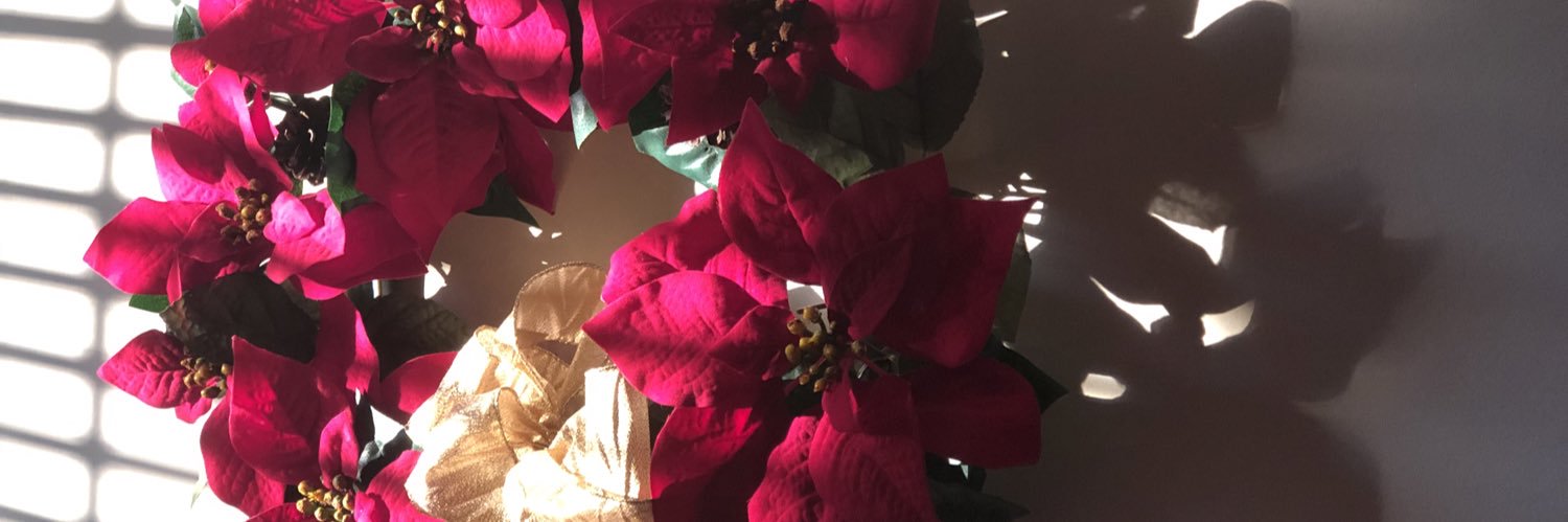 Brenda K banner
