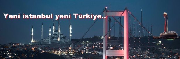18_balsa's profile banner image