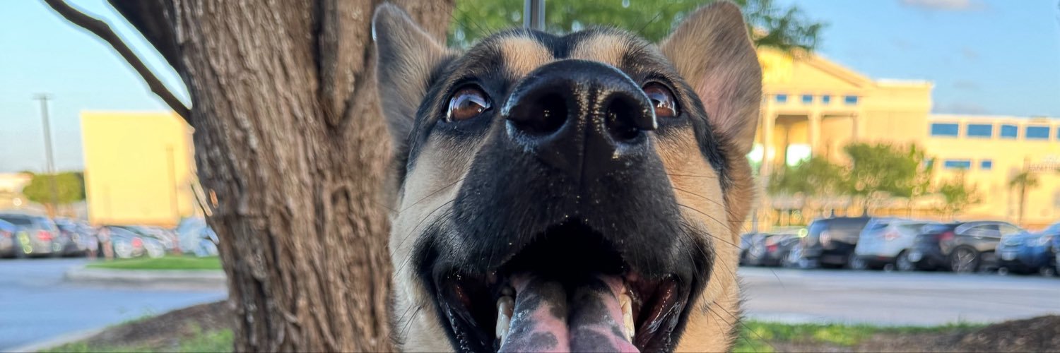 baccwuddz's profile banner image