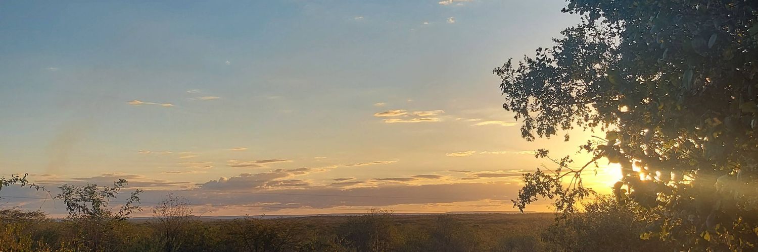 marirb__'s profile banner image
