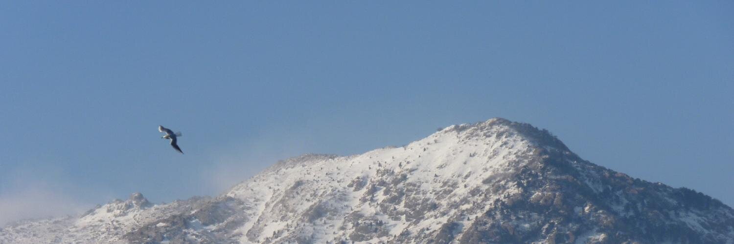 piozyg's profile banner image