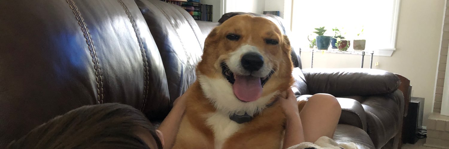 Corgigirl03's profile banner image