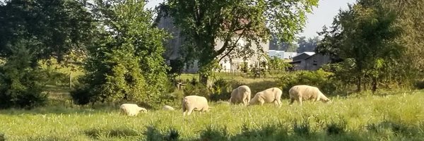 LBrien Profile Banner