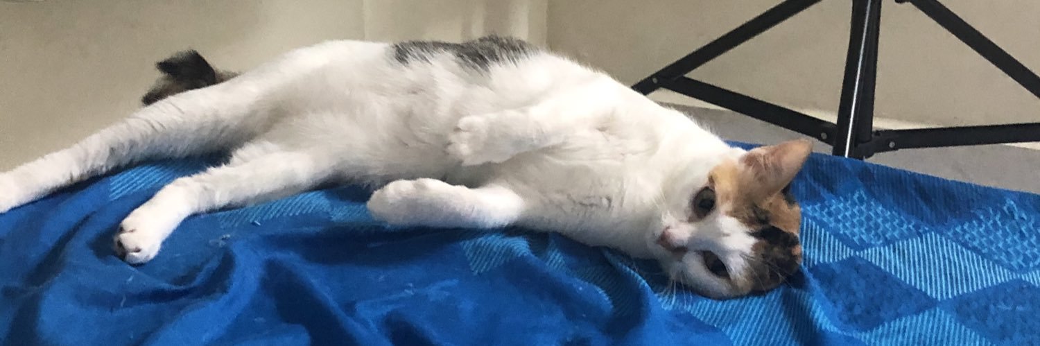 mizkiiiing's profile banner image