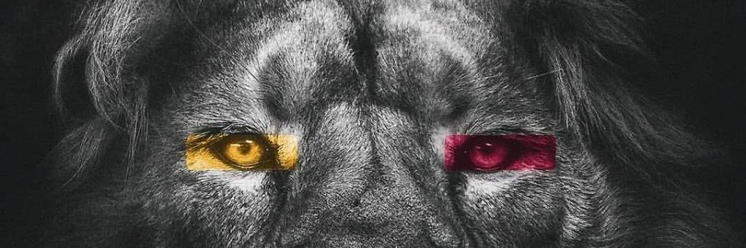EmreEren09's profile banner image