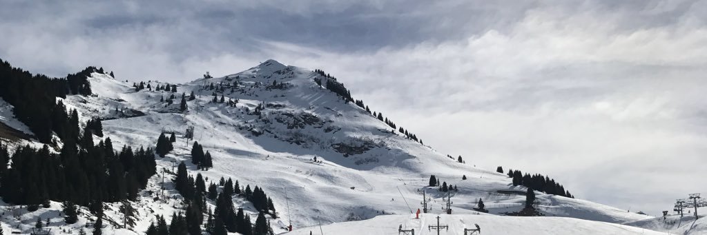 tylerdingle157's profile banner image