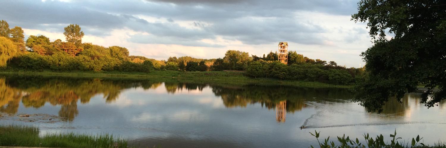 Tiffany Sanders banner