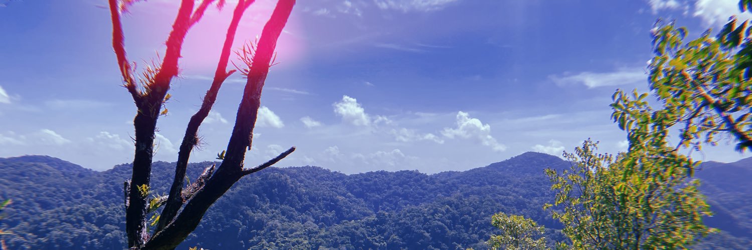 jn_running's profile banner image