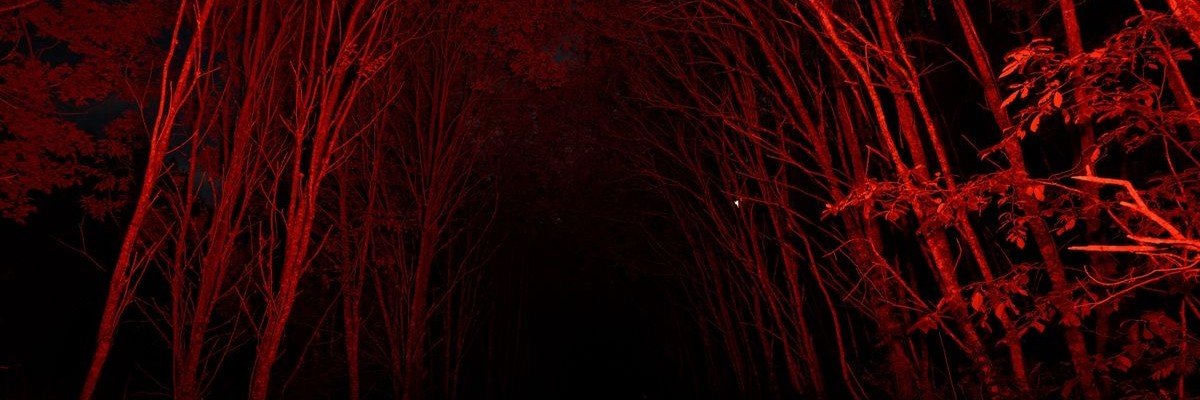 mrsmourningstar's profile banner image