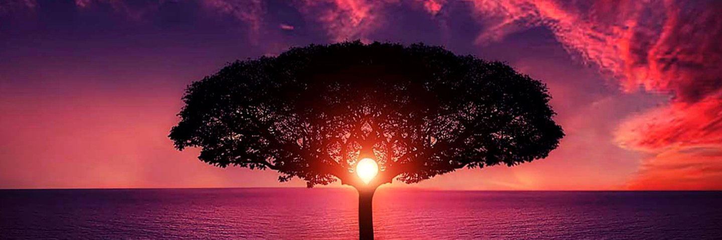 sami_rod's profile banner image