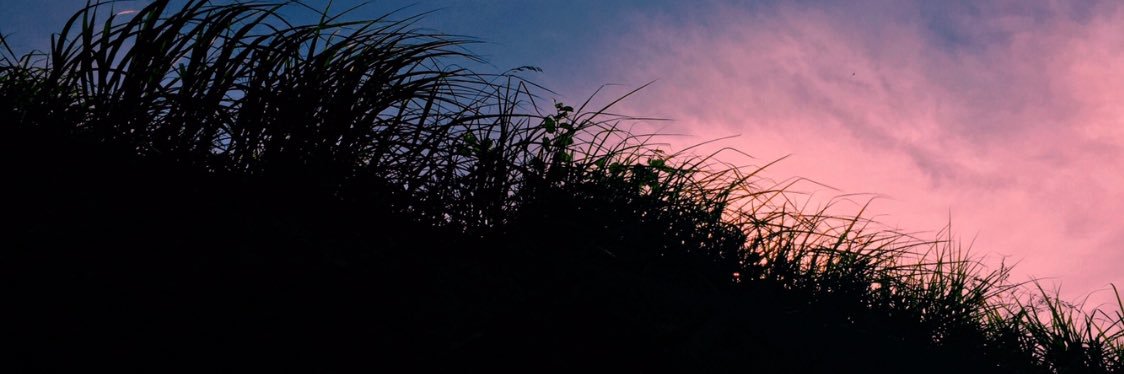 mocchi0618's profile banner image