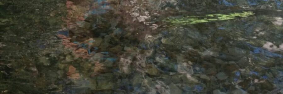 FManumar3's profile banner image