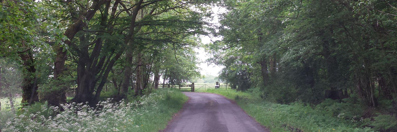 elslack67's profile banner image