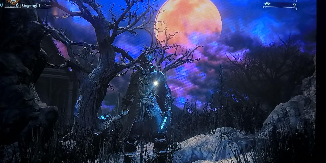 Spaethie's profile banner image