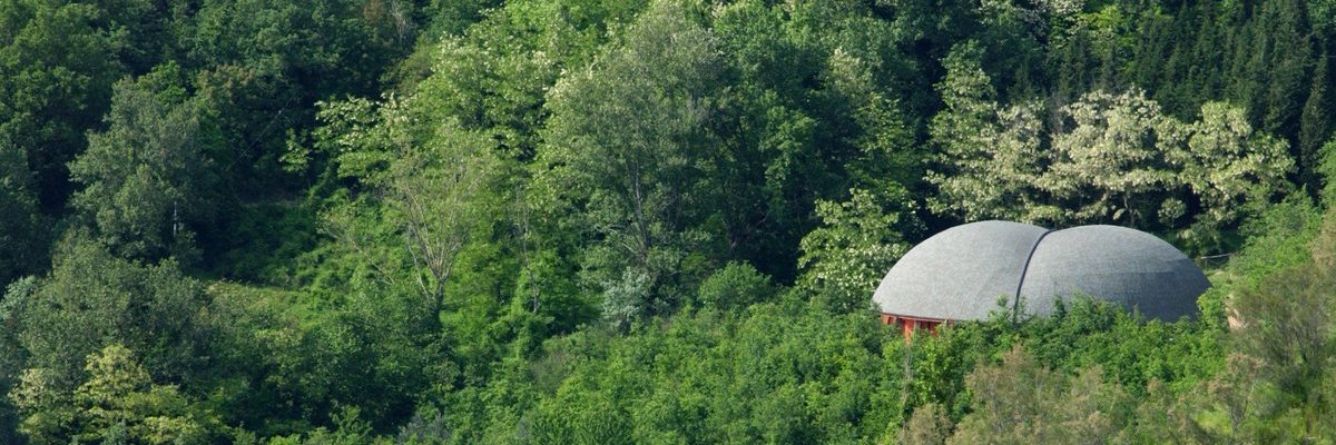 L'arboreto banner