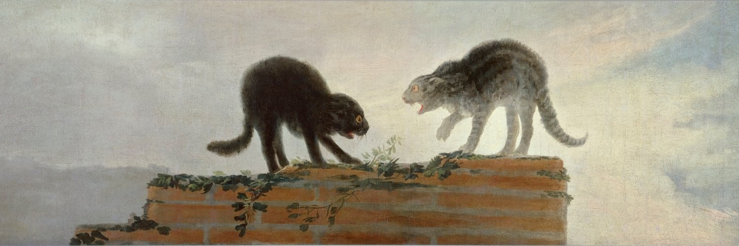 Franciszek Dąbrowski banner