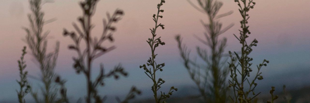 jennagladstone2's profile banner image