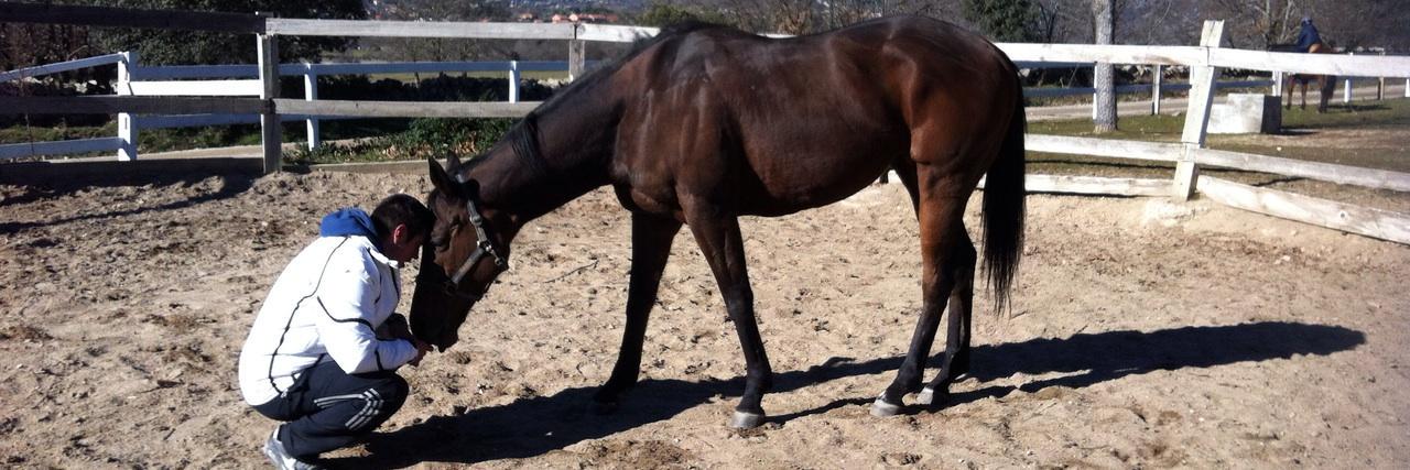 Oscar Blazquez banner