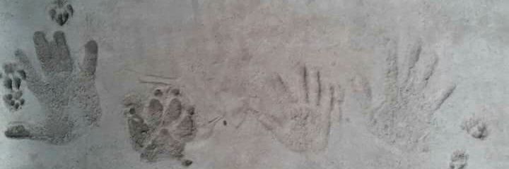 semislawa's profile banner image