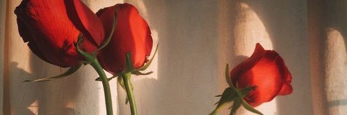 EngyHeikall's profile banner image
