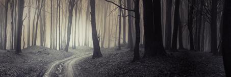 NaturallyDarkRP's profile banner image