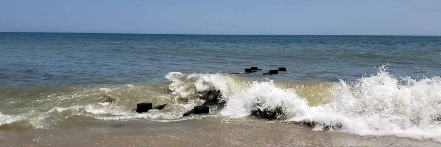 PinkKittyLynn's profile banner image