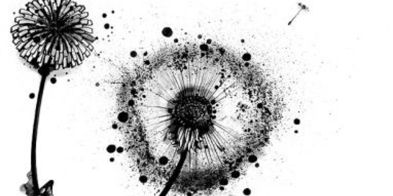rmn_vikki's profile banner image
