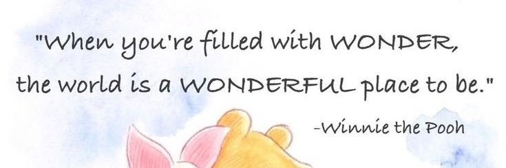 Prison Researcher banner