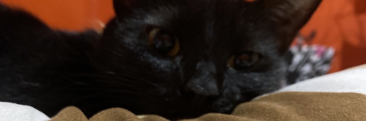 vegapaulaf's profile banner image